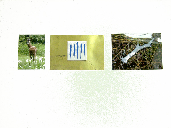 Foto Johannes Lothar Schrder