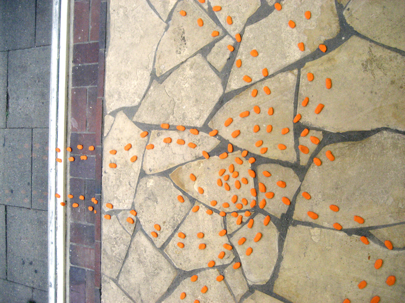 Foto: Manfred Eichhorn