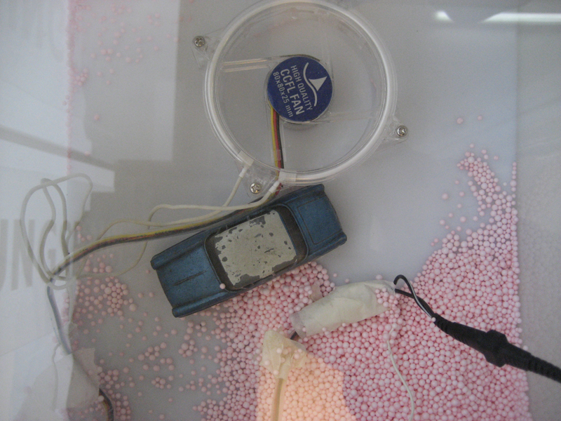 Foto Manfred Eichhorn