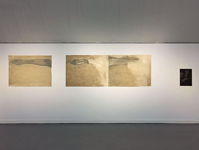 Foto Llaura I. S�nner