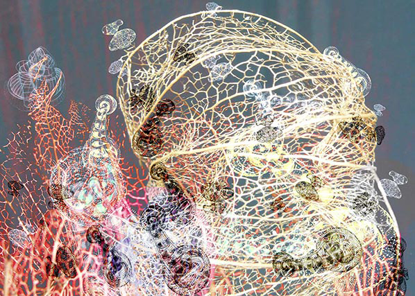 Foto Manfred Eichhorn