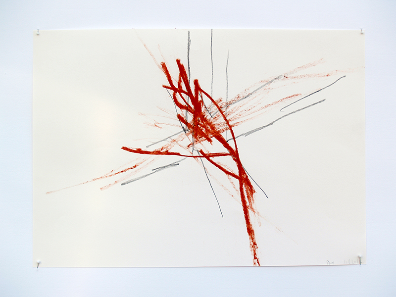 Foto
              Ina Schlafke