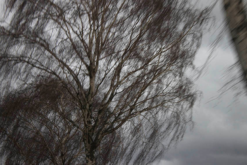 Foto Rahel Bruns